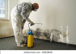 Why You Should Choose Our Mold Remediation Services in North Barrington, IL